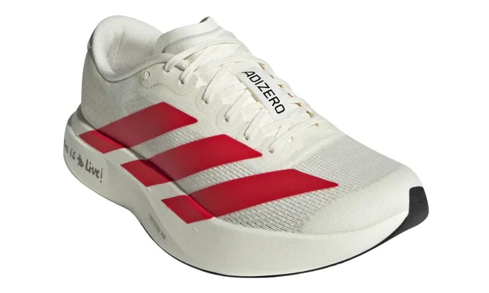 Adidas AdiZero EVO SL - Global Choice UAE